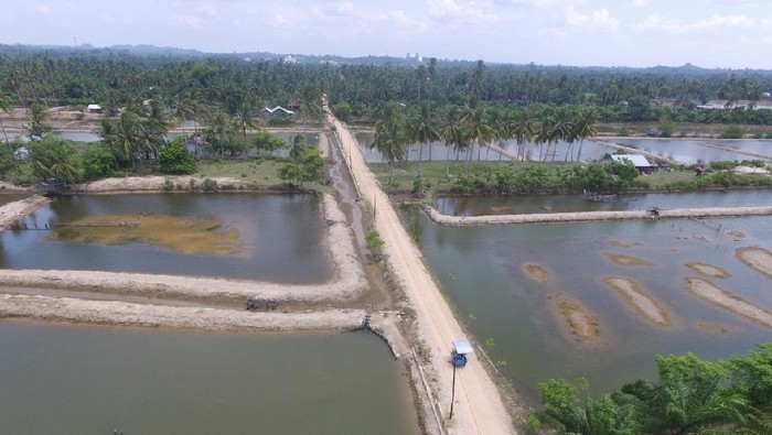 Tambak di gampong Tu yang merupakan salah satu mata pencaharian masyarakat sekitar.