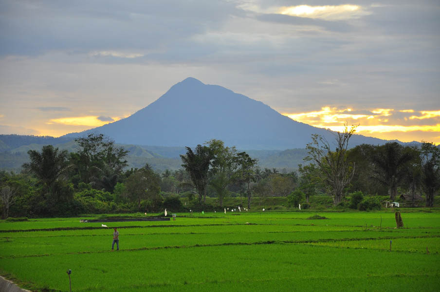 Keindahan gunung di gampong Tu yang juga dimanfaatkan masyarakat untuk berkebun.